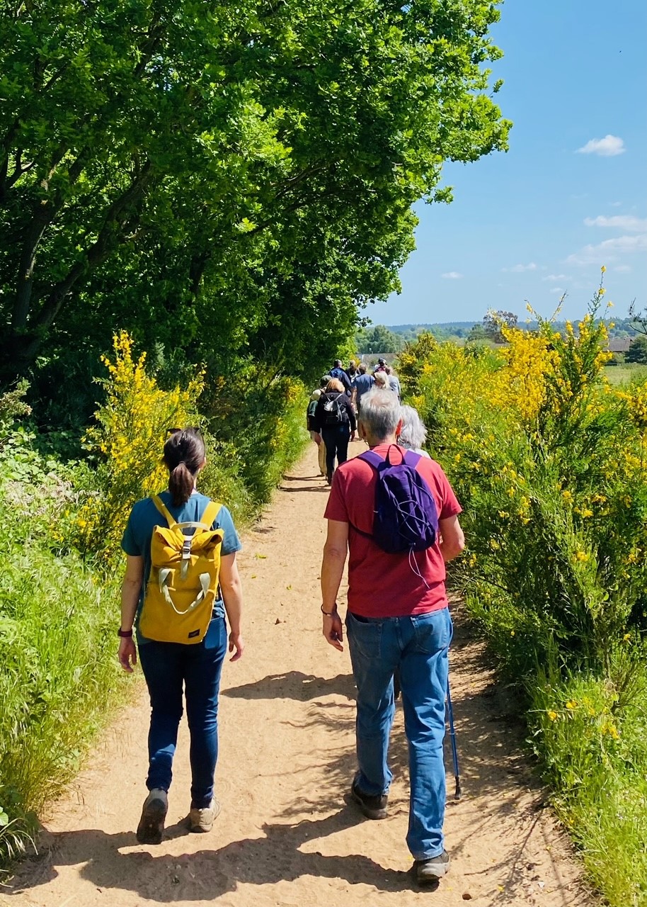 People walk down a sunny path