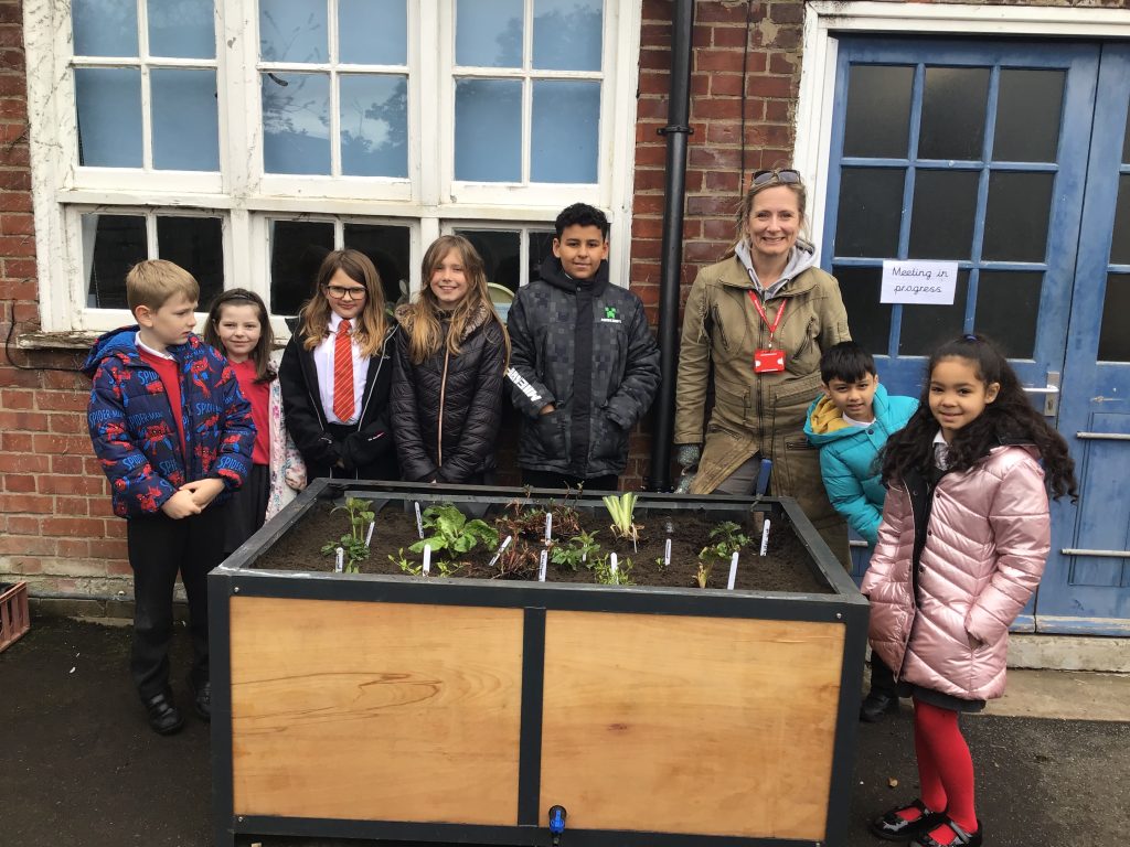 School children and a visiting tutor Mia Witham standing behind a raised bed with newly planted plants.  