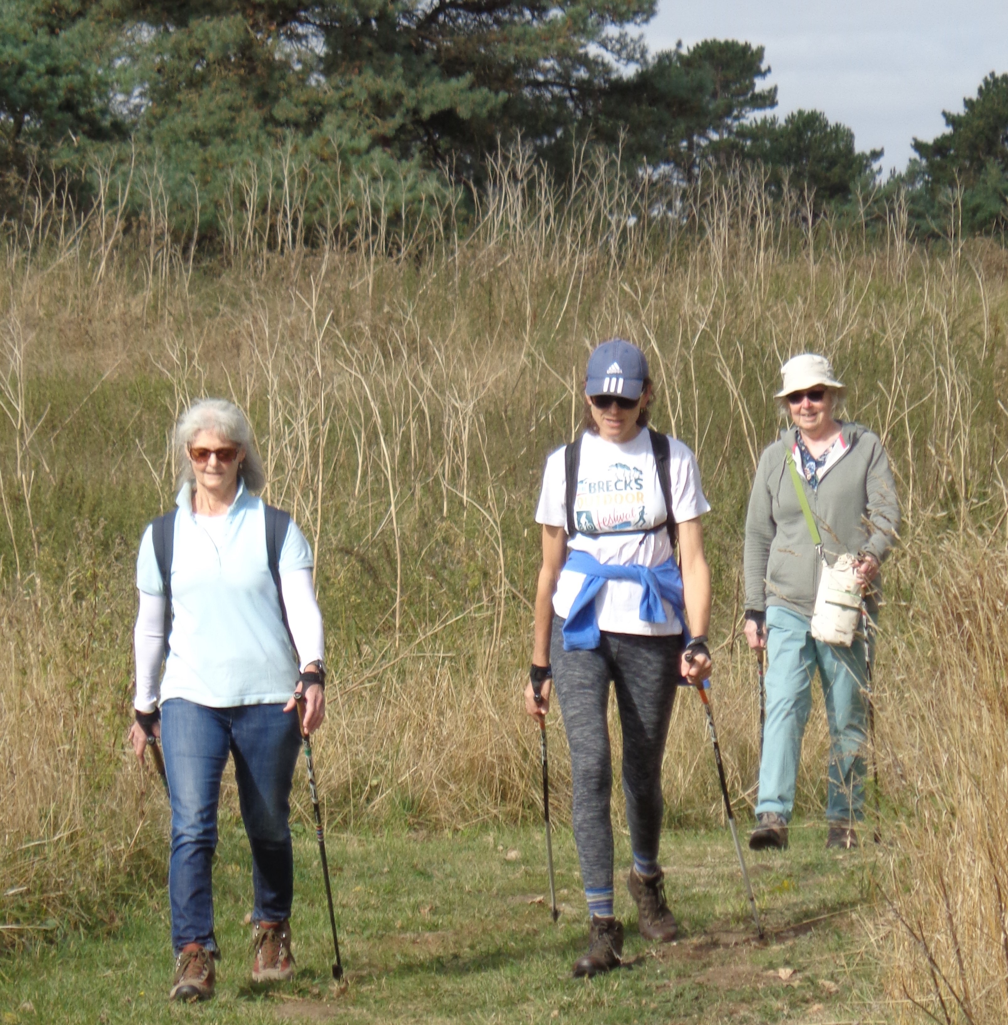 3 people walking using poles